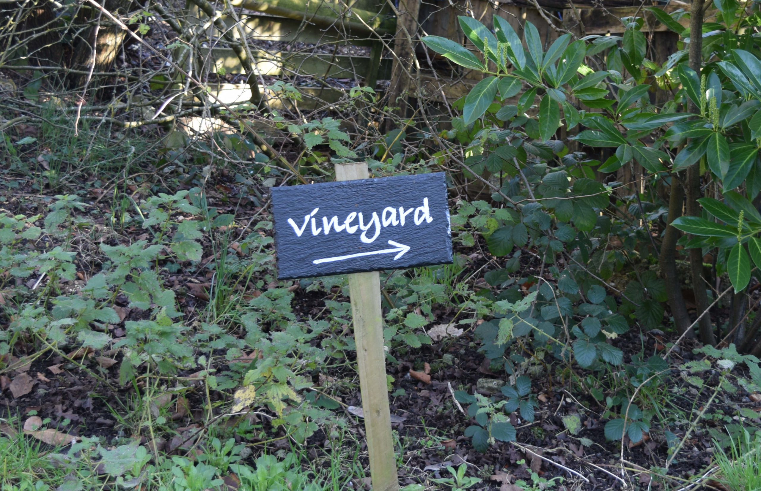 Terlingham Vineyard Sign