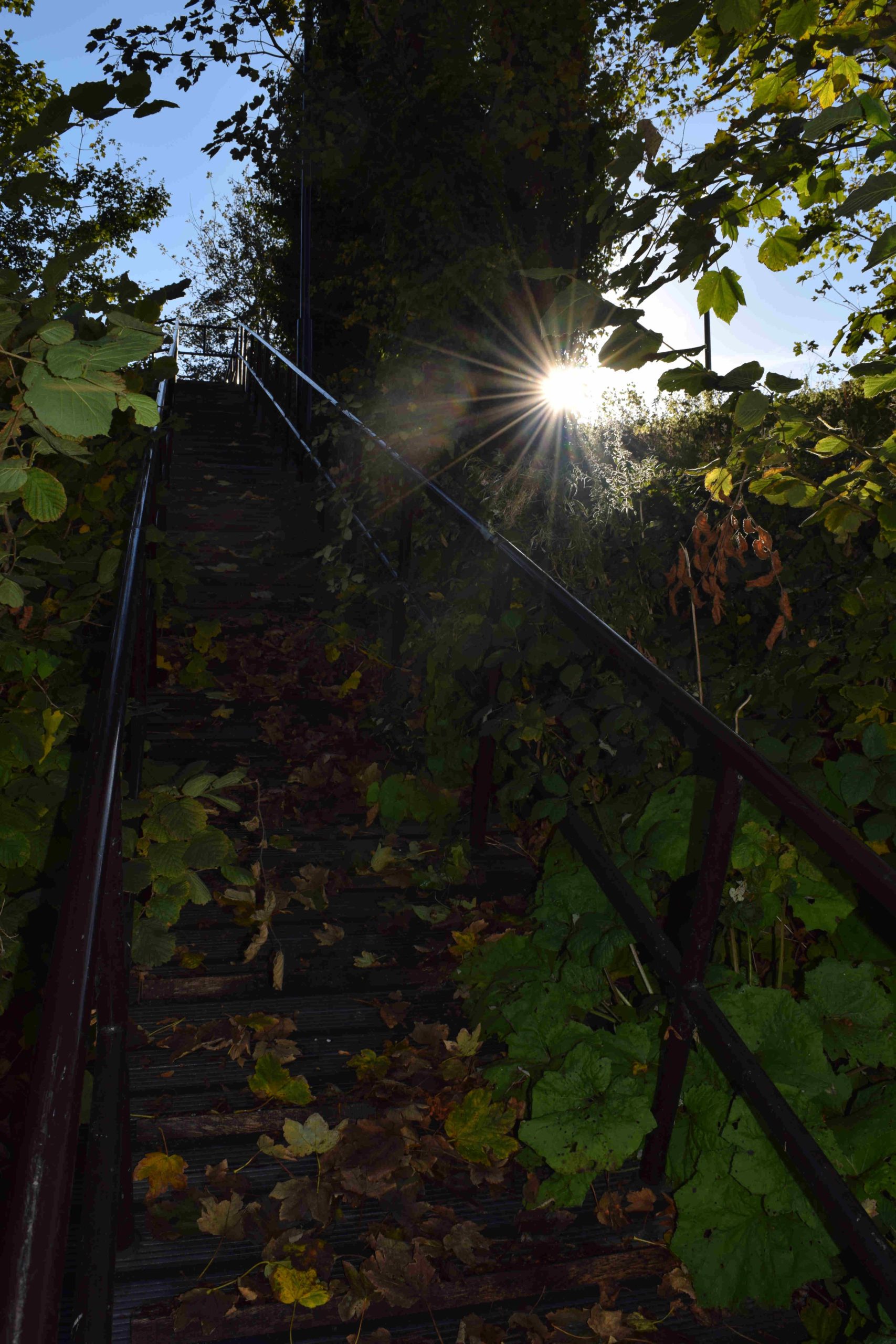 Hidden Path in Payers Park