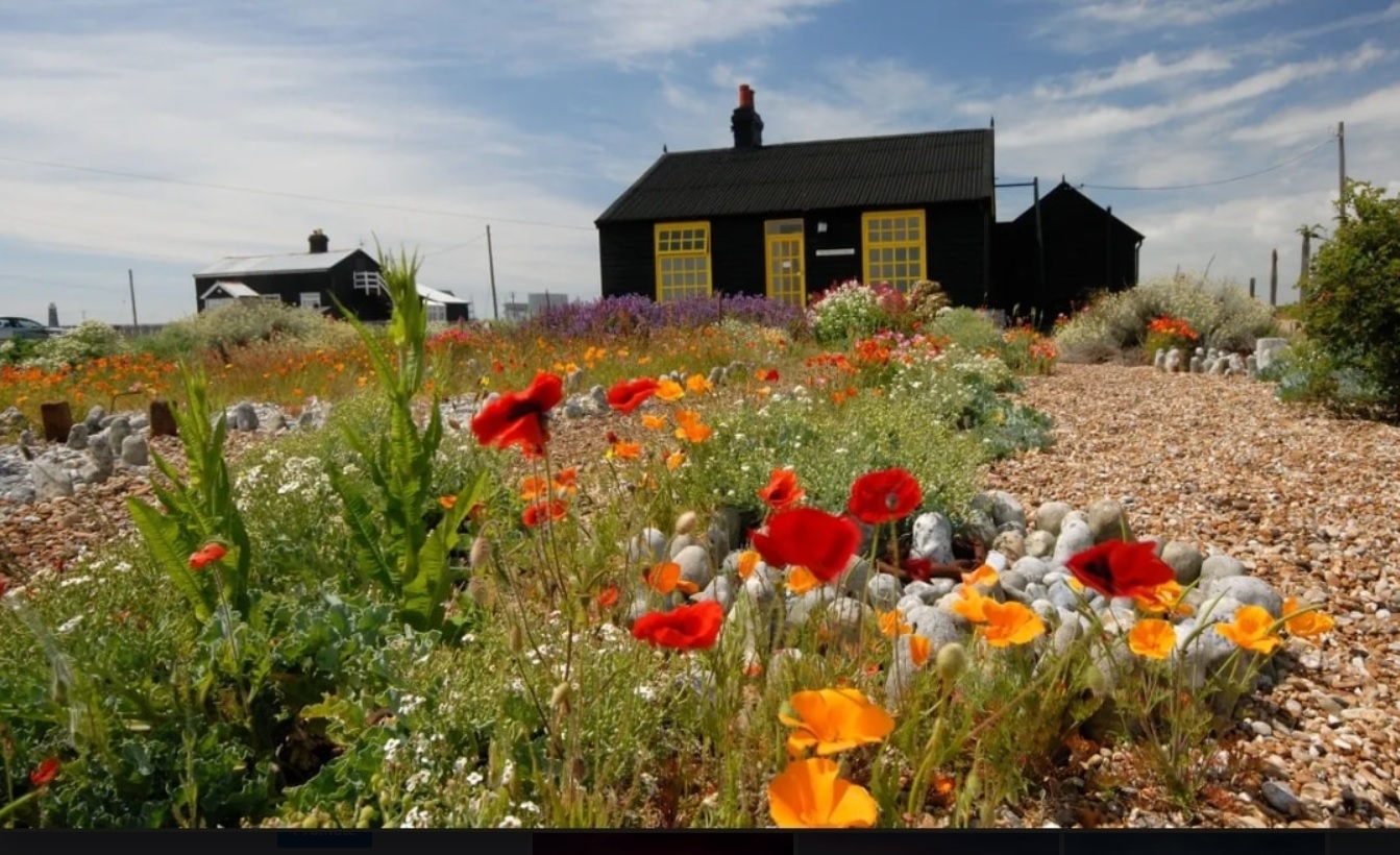 Derek Jarman Creative Folkestone Credit Richard Bird