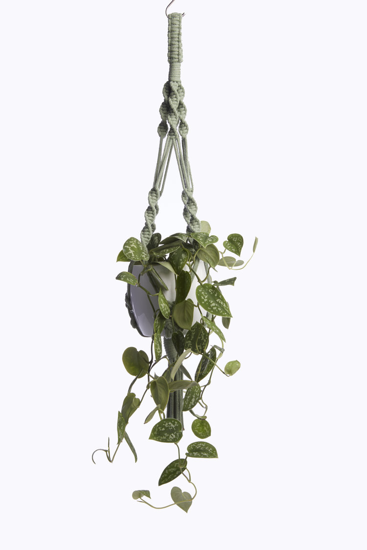 Heather Orr Eucalyptus Hanger