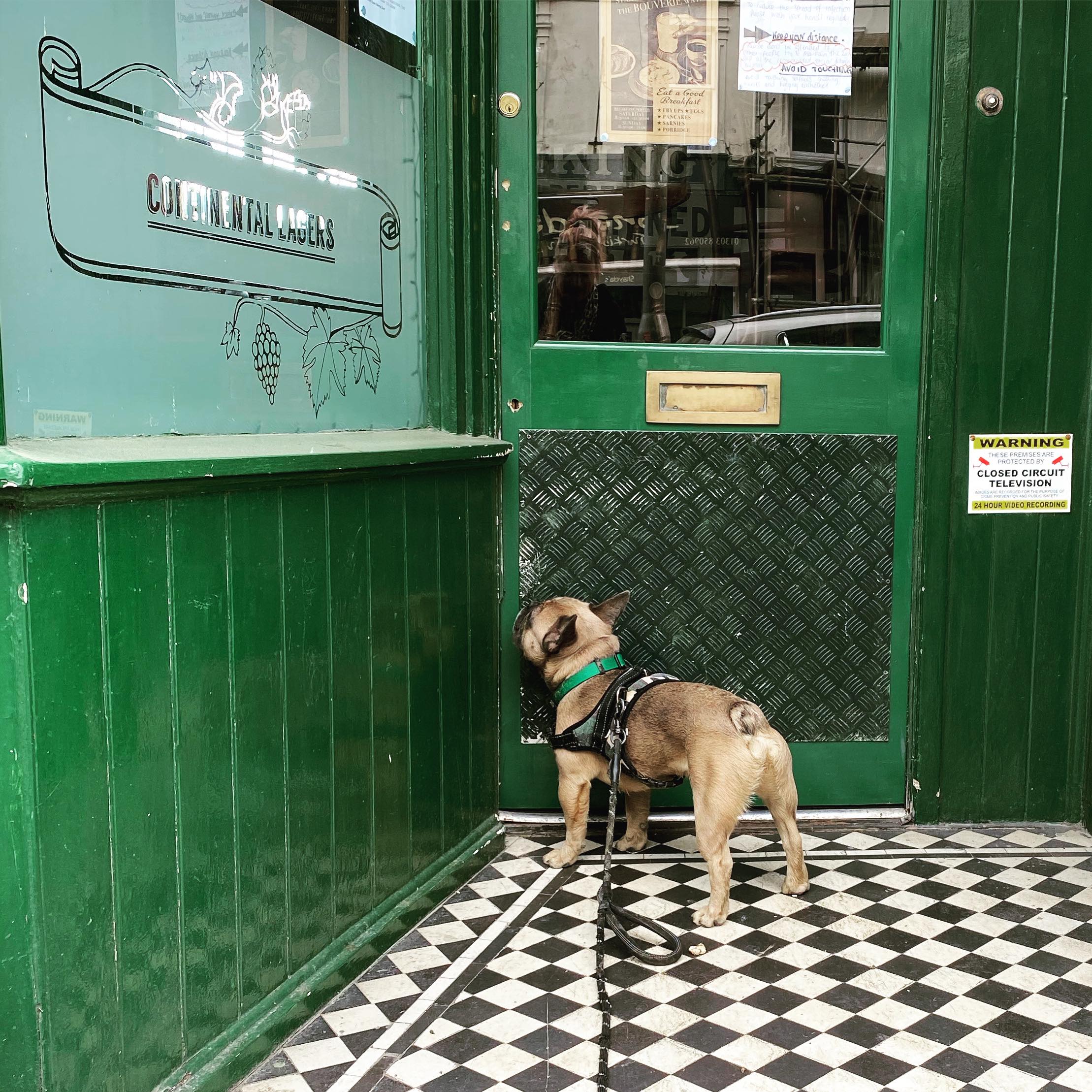 Bouverie Tap Dog Friendly Folkestone