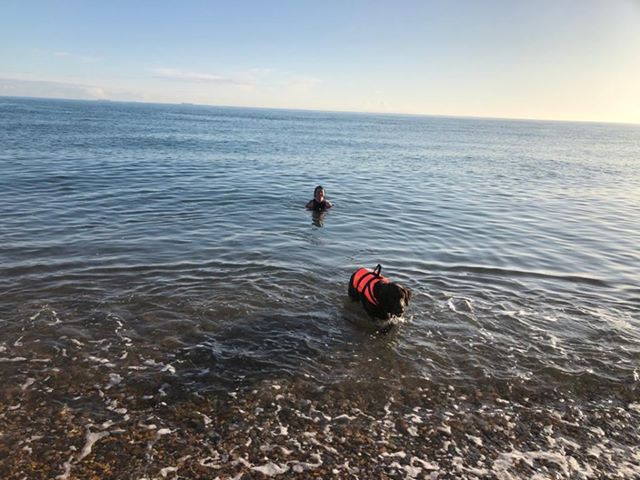 Sea swimming Kirsty Hogben