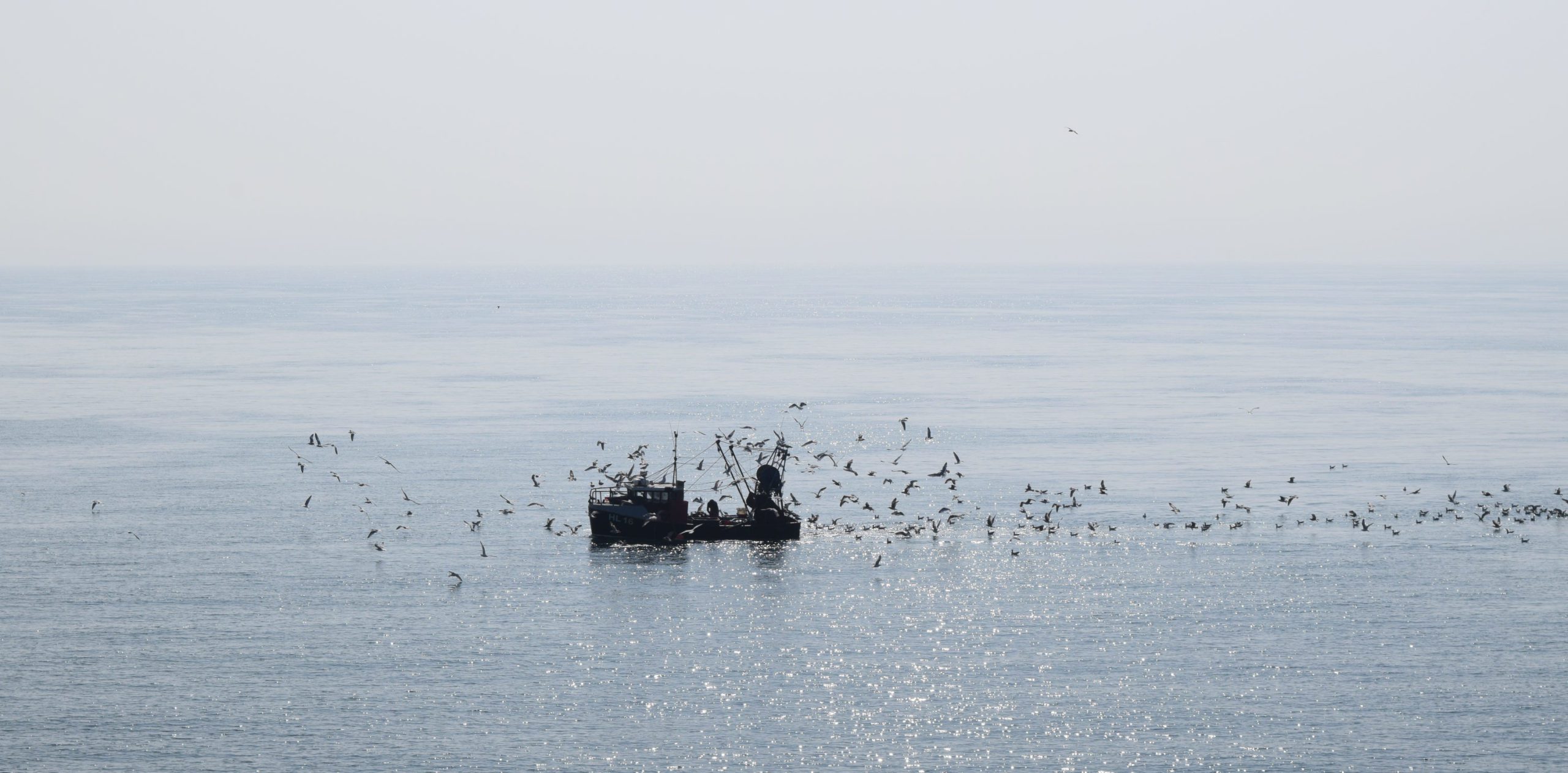 Folkestone Trawlers