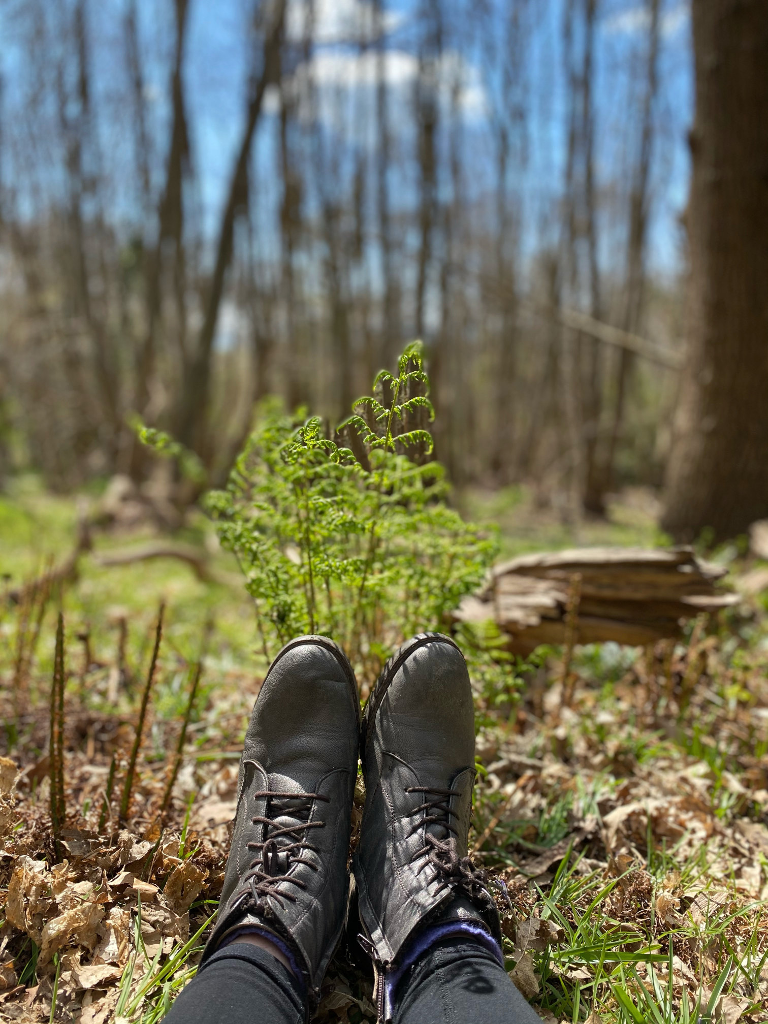 Feet in the Forest