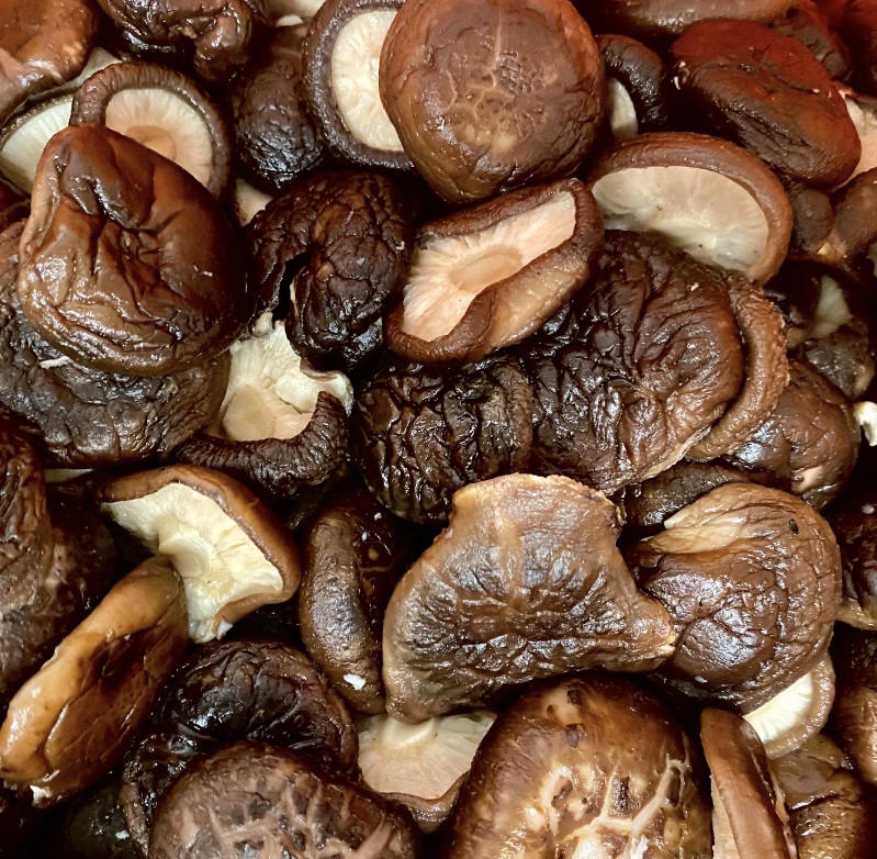 Cocomee Shiitake Mushrooms