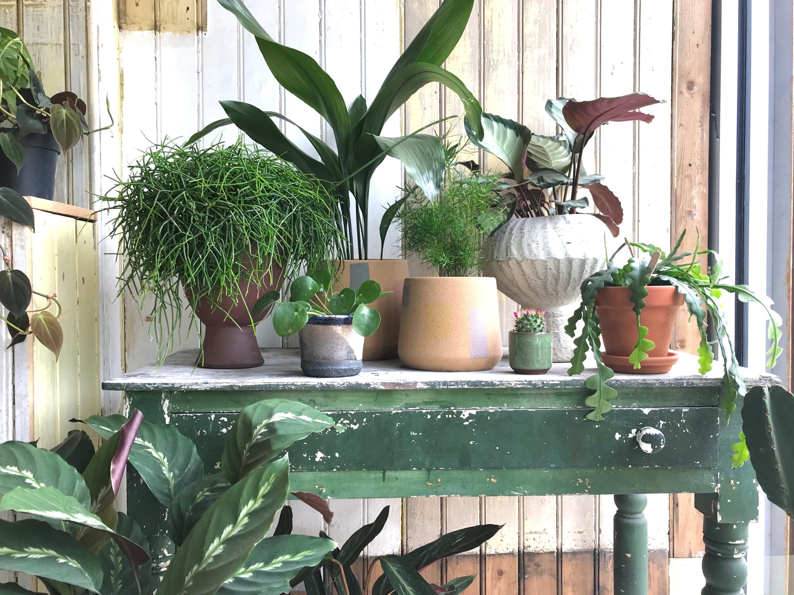 Pot and Vessel Green Table