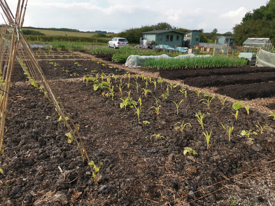 Allotments