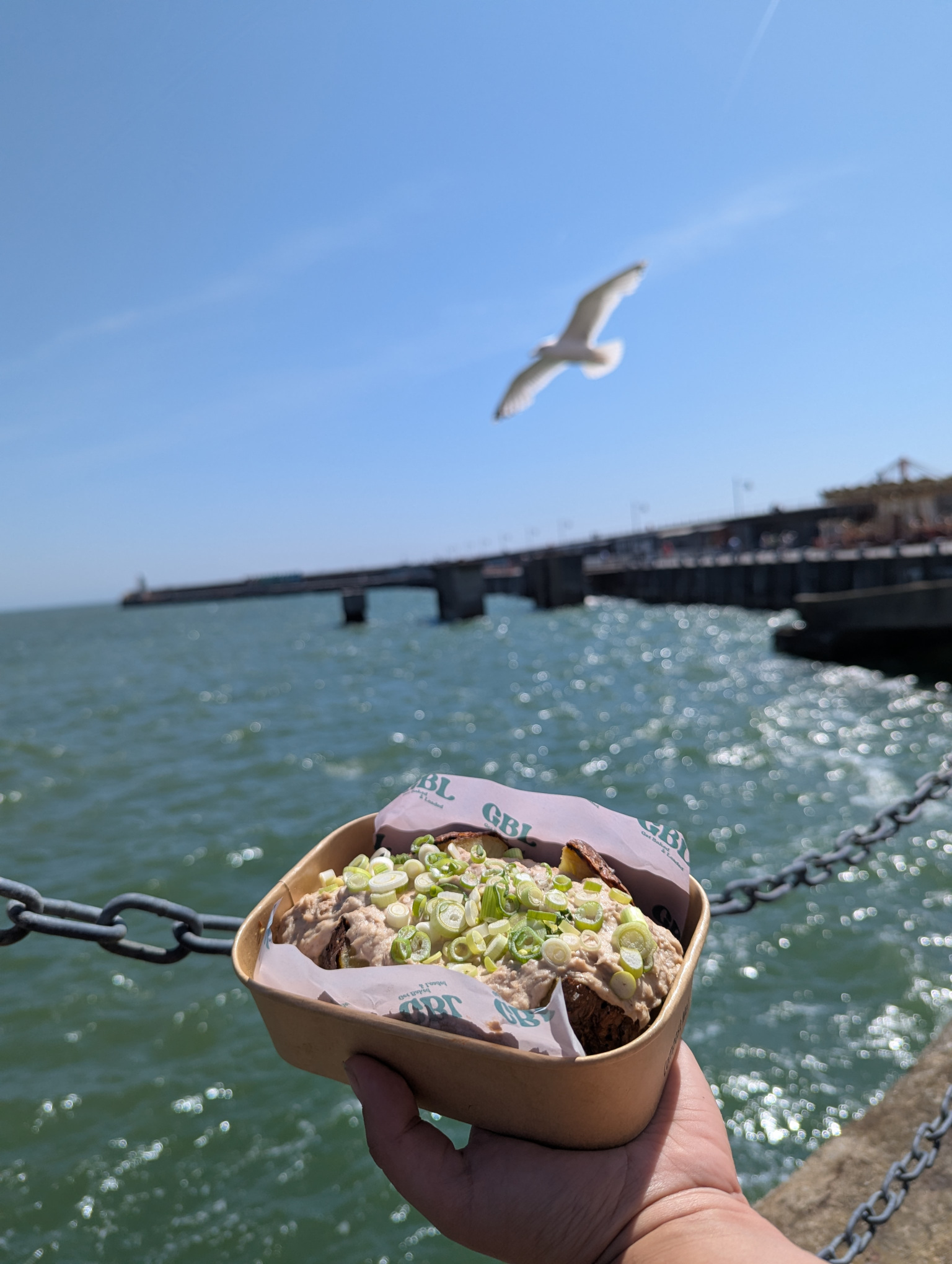 Get Baked And Loaded with Gull