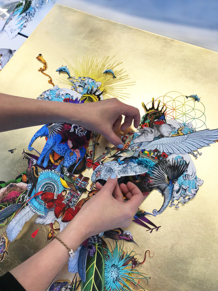 Kristjana S Williams Coldplay Butterfly