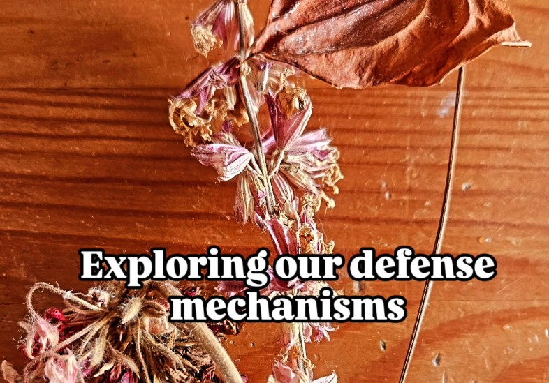 Boundaries With Friends Defense mechanisms