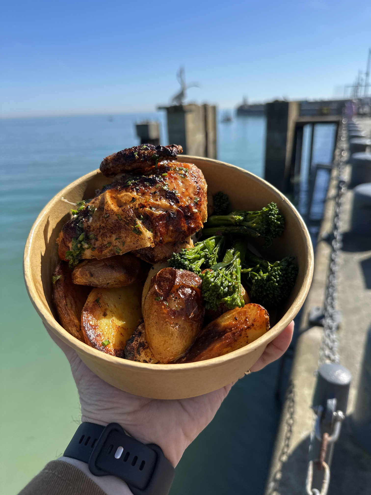 Hatch Chicken Brocolli pot