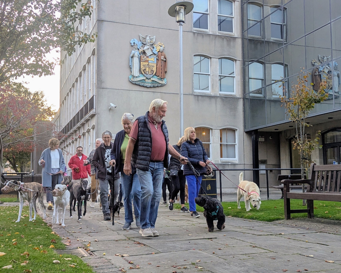 Folkestone Dispatch Dog Walking